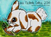 Baby Bunny Frolic